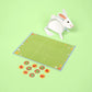 Create Your Own Bouncing Bunny Kit