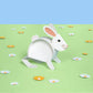 Create Your Own Bouncing Bunny Kit