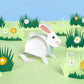 Create Your Own Bouncing Bunny Kit