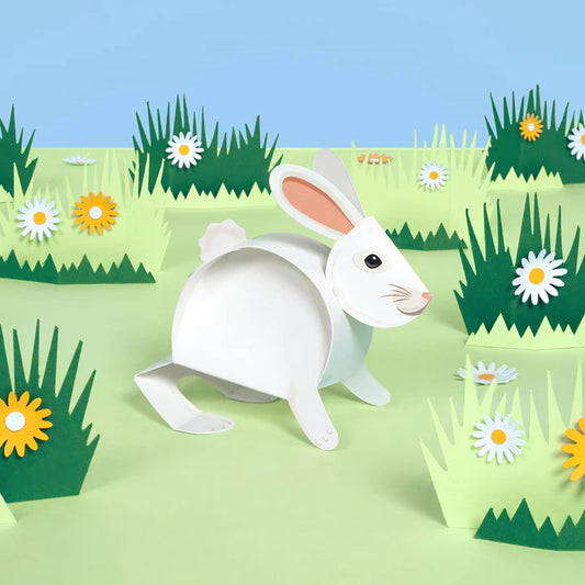 Create Your Own Bouncing Bunny Kit