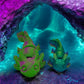 Waddle Axolotl (Large)