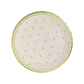 Spring Polka Dot Paper Plate Set