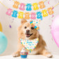 Puppy Dog Birthday Kit