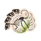 Small Plates: Dinosaur Party