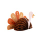 Honeycomb Turkey Set