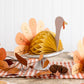 Honeycomb Turkey Set