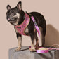 Sprinkle Me Pink Dog Leash
