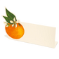 Orange Orchard Place Cards