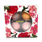 4 Pack Limited Edition Cocktail Drink Bomb™ Mix: Romance Box
