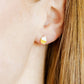 Cupcake Screwback Stud Earrings