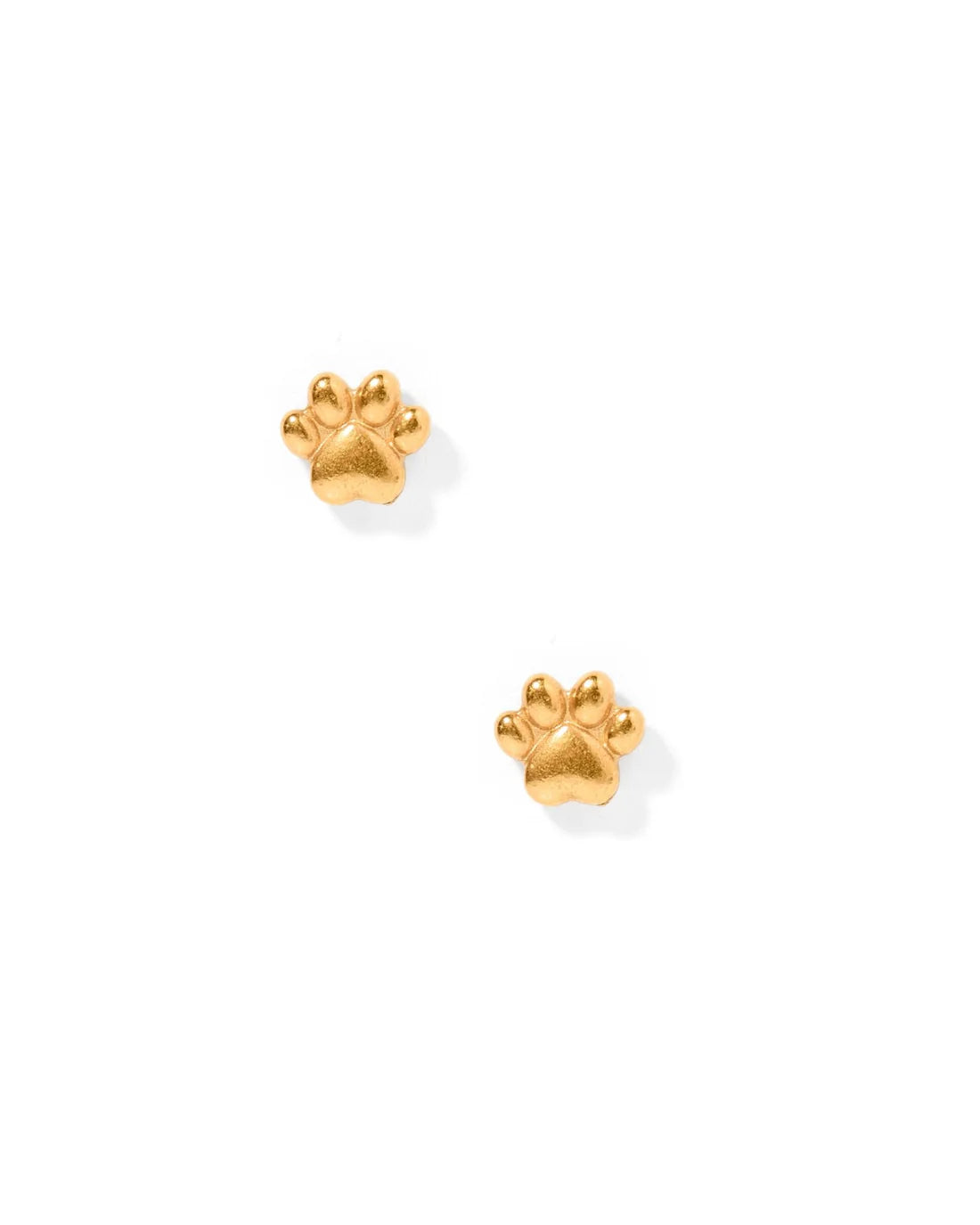 Gold Paw Print Screwback Stud Earrings