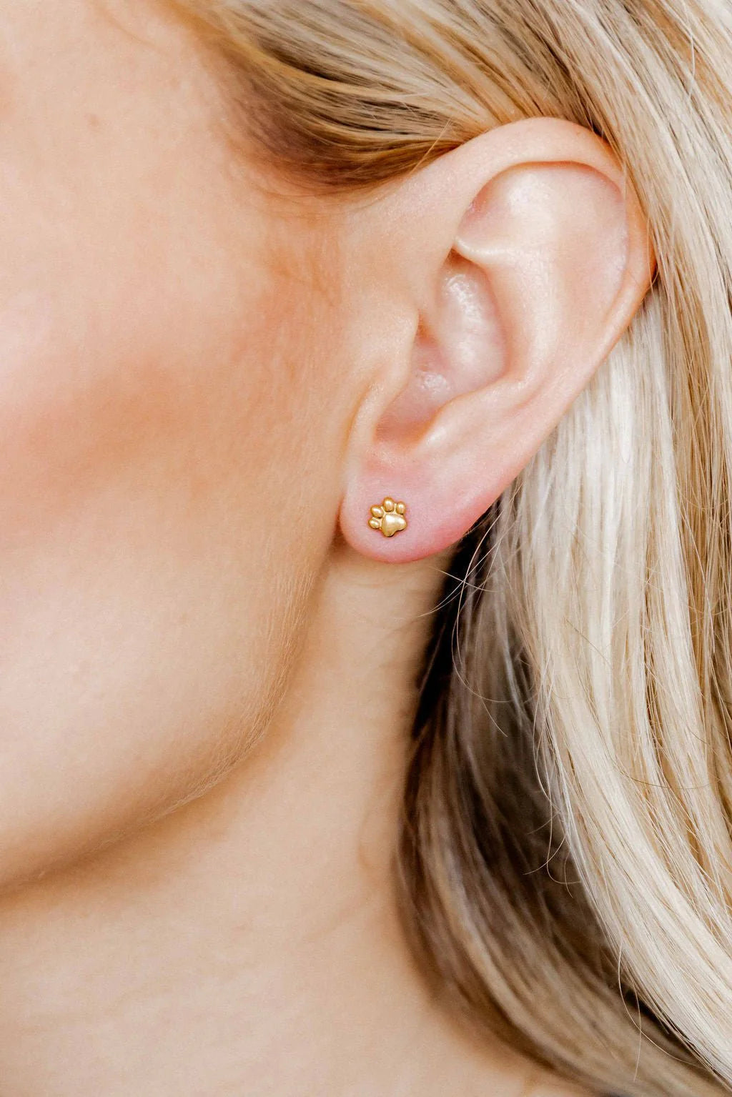 Gold Paw Print Screwback Stud Earrings