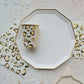 Blanc White Premium Dinner Plates