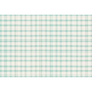 Seafoam Painted Check Paper Placemats