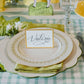 Seafoam Painted Check Paper Placemats