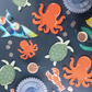 Octopus Plates