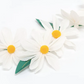 Wild Daisy Garland