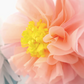 Giant Garland: Flowers in Bloom