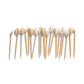 Seashell Hors D'Oeuvre Picks (Multiple Styles Available)