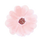 Small Plates: Flower Garden