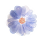 Small Plates: Flower Garden