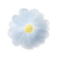 Small Plates: Flower Garden