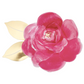 Rose Garden Plates