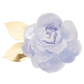 Rose Garden Plates