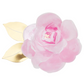 Rose Garden Plates