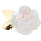 Rose Garden Plates
