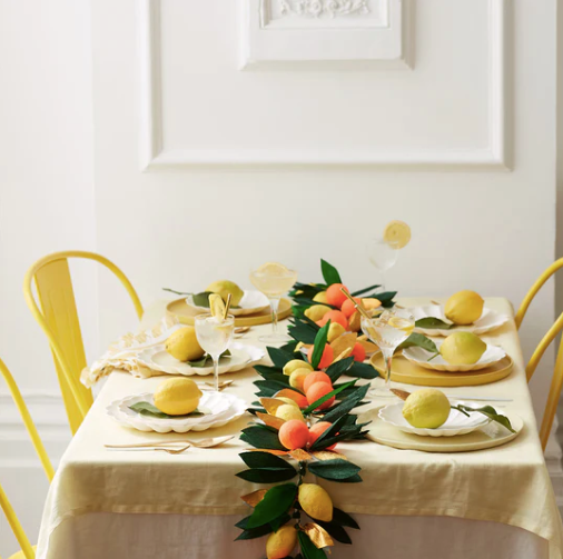 Citrus Fruit Garland