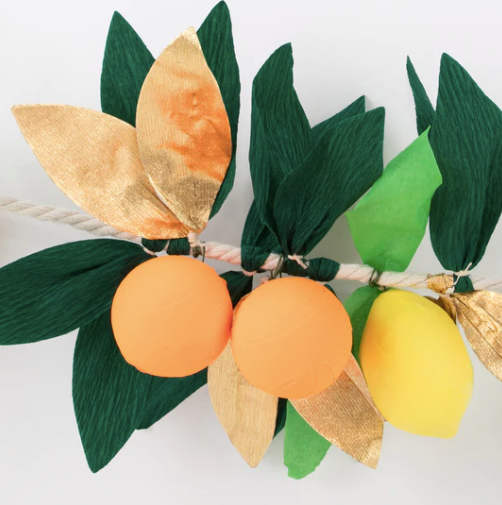 Citrus Fruit Garland