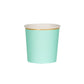 Tumbler Cups: Mint