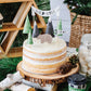 Cake Topper Set: Adventure