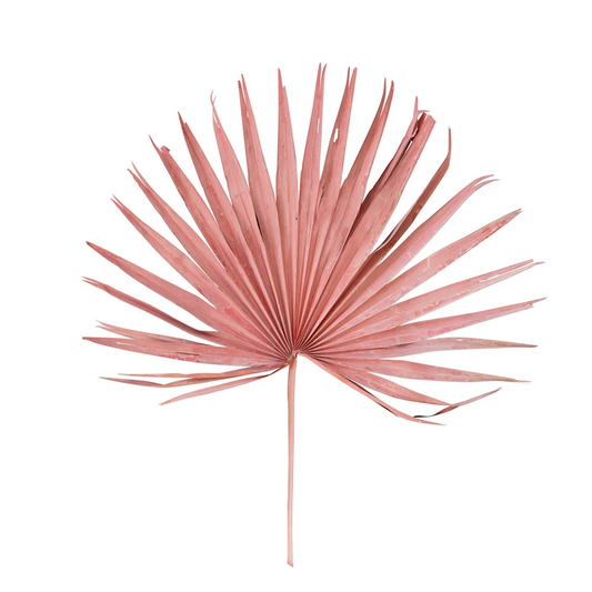 Creative Co-Op Dried Palm Leaf: Pink