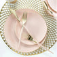 Plastic Dinner Plates: Blush • Gold